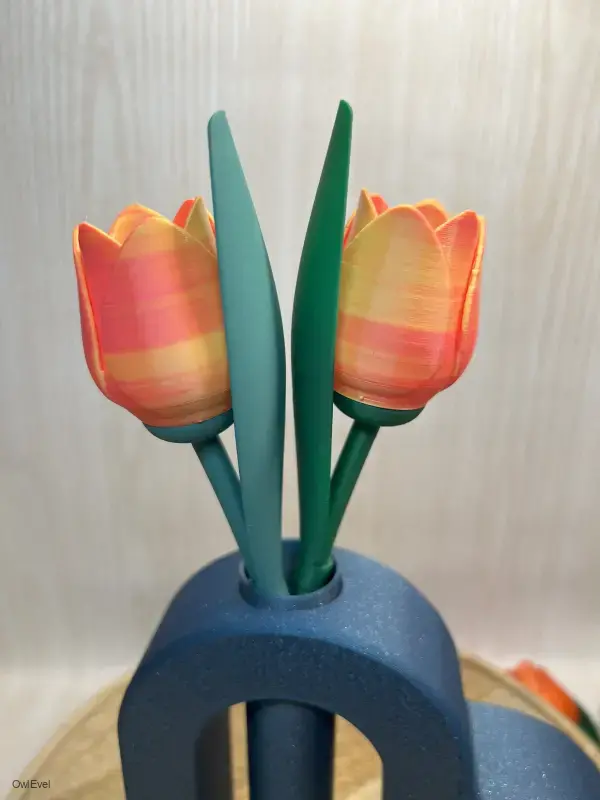 Květina Tulipán