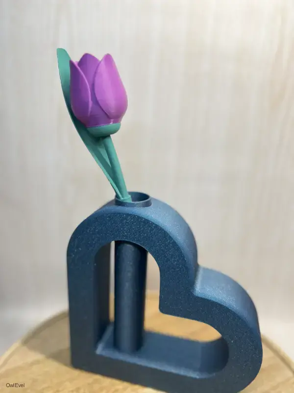 Květina Tulipán