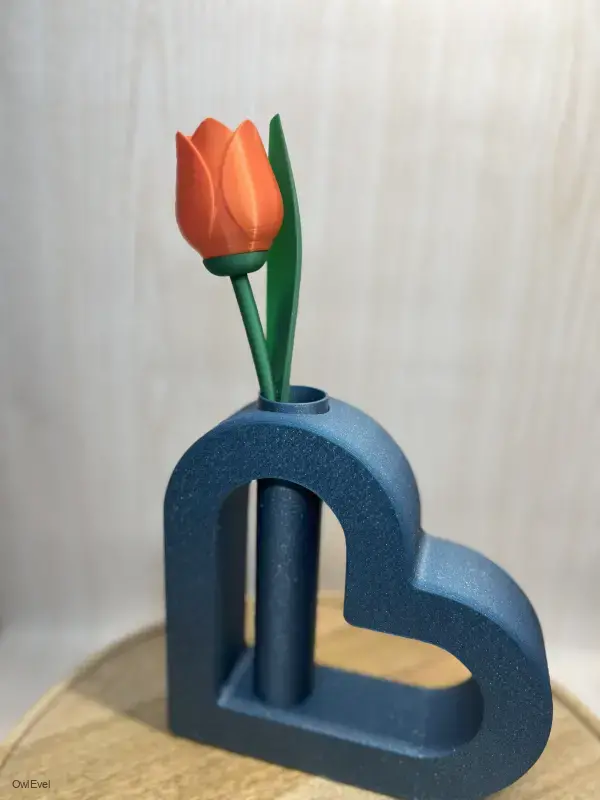 Květina Tulipán
