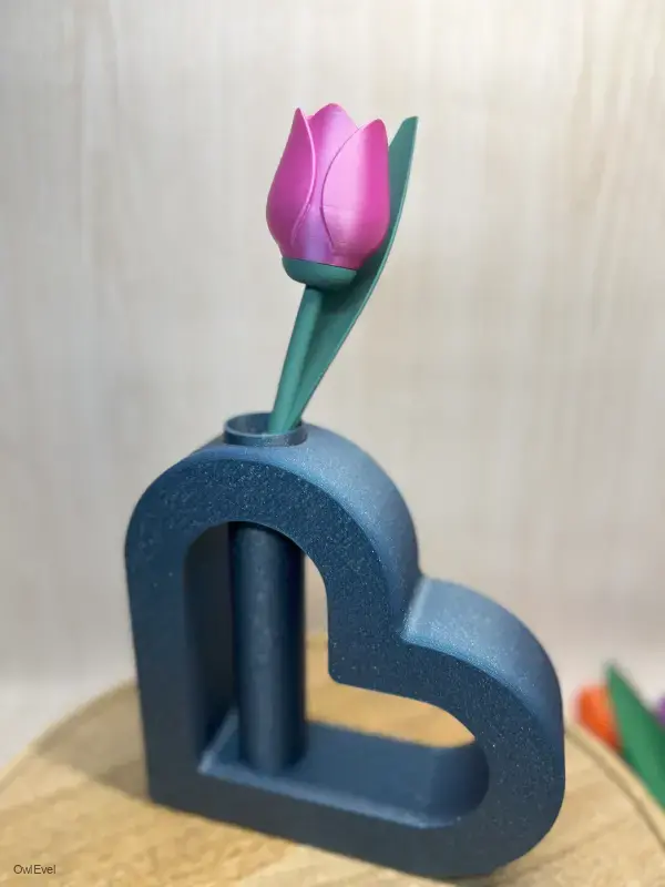 Květina Tulipán