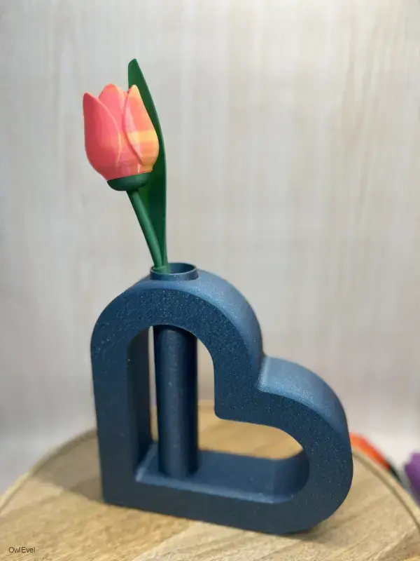 Květina Tulipán